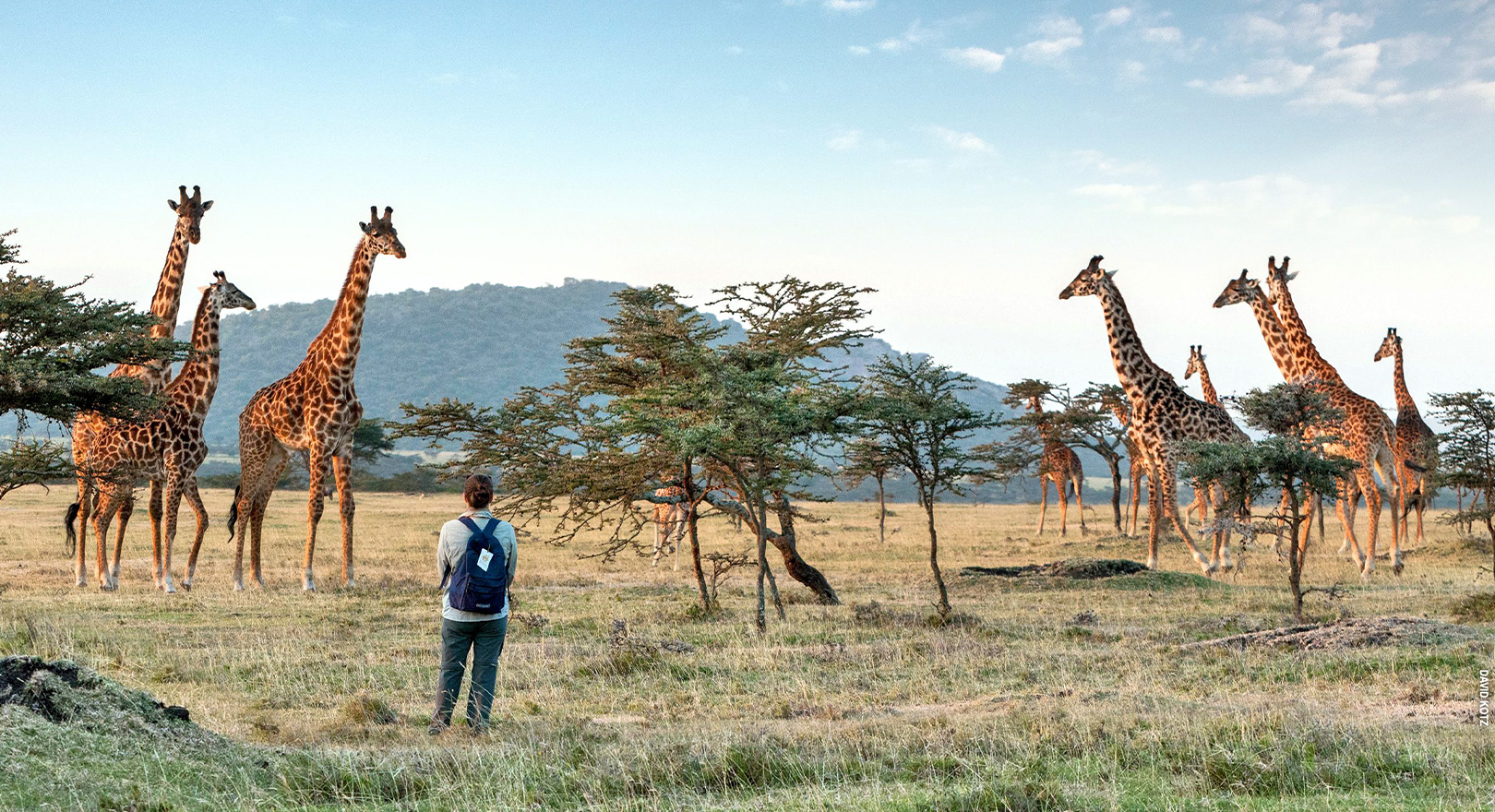 6-дневное палаточное сафари
